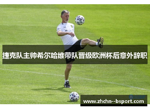 捷克队主帅希尔哈维带队晋级欧洲杯后意外辞职