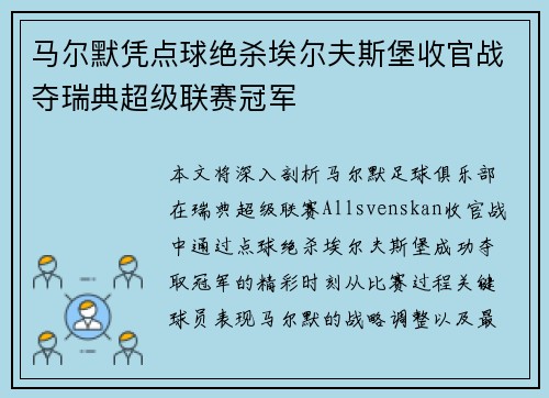 马尔默凭点球绝杀埃尔夫斯堡收官战夺瑞典超级联赛冠军